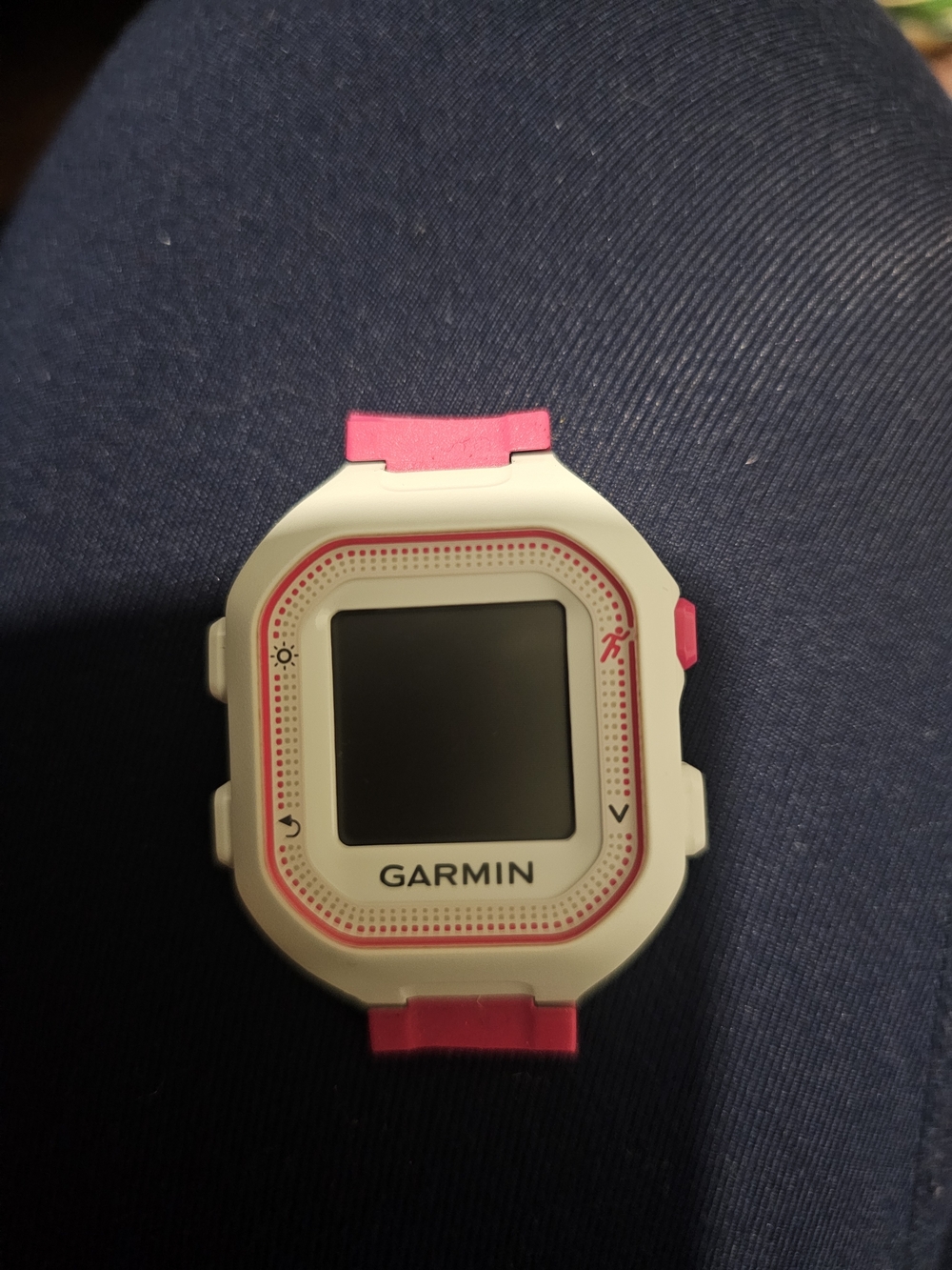 Garmin Forerunner 25 With GPS